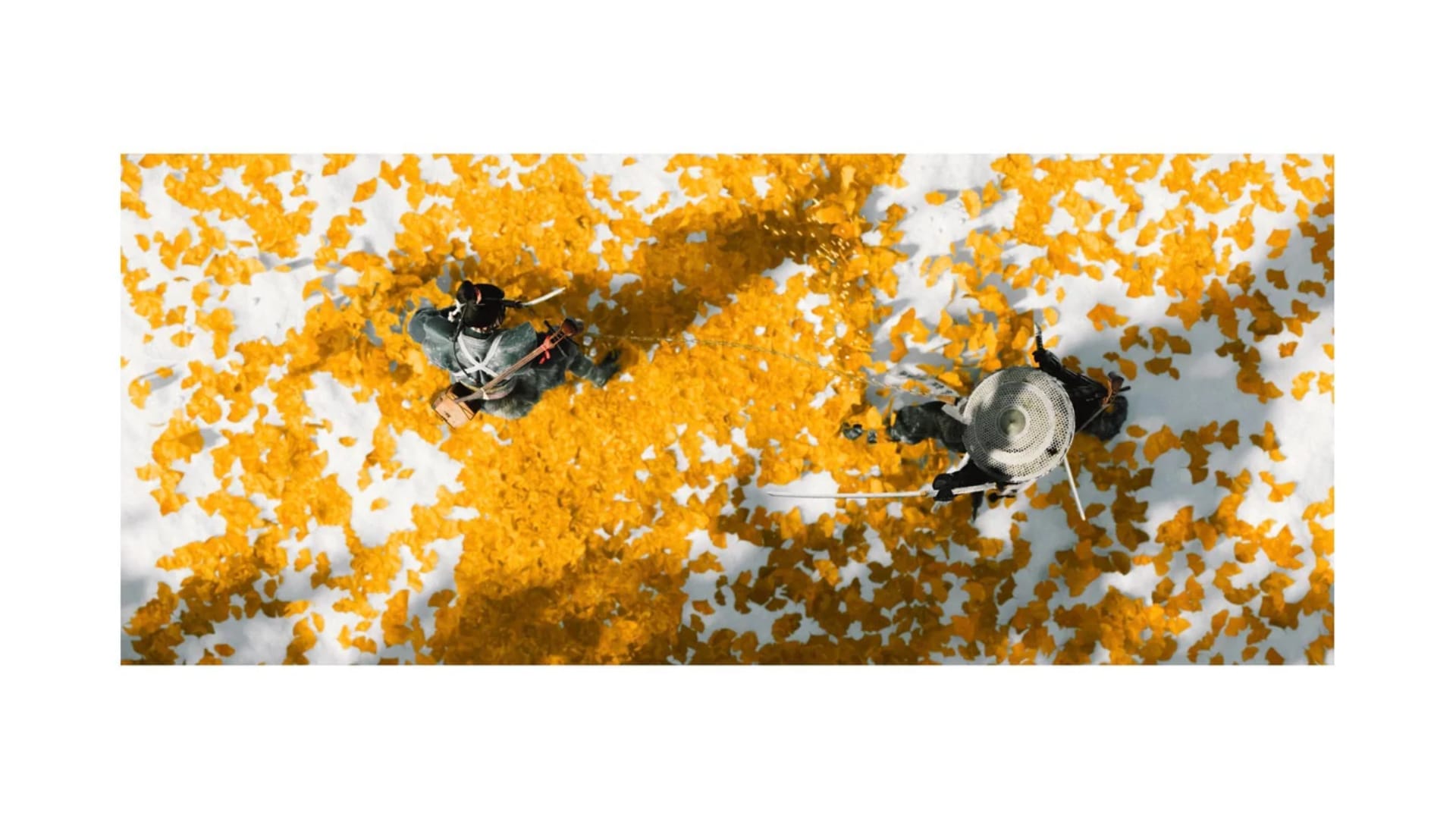 Top down image of two characters fighting on yellow leaves.